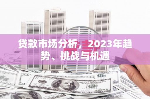 九龙城贷款市场分析，2023年趋势、挑战与机遇