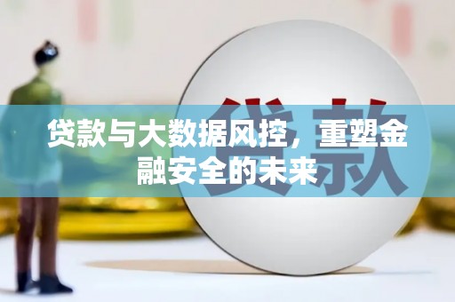 九龙城贷款与大数据风控，重塑金融安全的未来