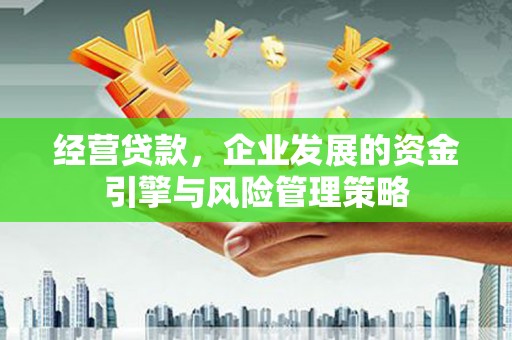 九龙城经营贷款，企业发展的资金引擎与风险管理策略