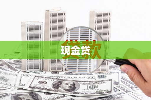 九龙城现金贷