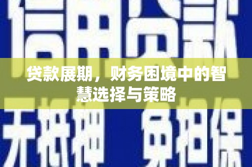九龙城贷款展期，财务困境中的智慧选择与策略