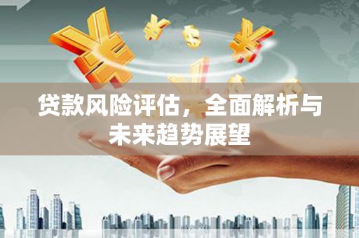 九龙城贷款风险评估，全面解析与未来趋势展望