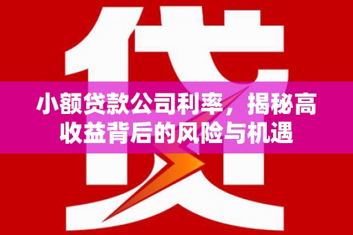 九龙城小额贷款公司利率，揭秘高收益背后的风险与机遇