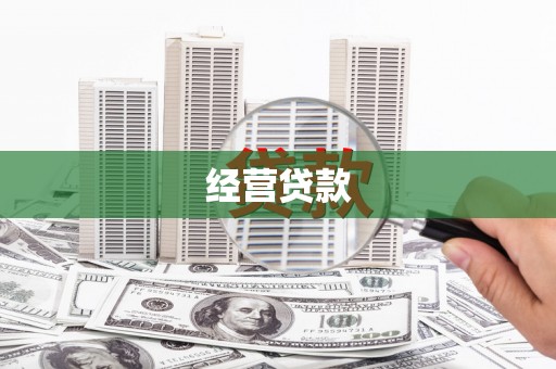 九龙城经营贷款