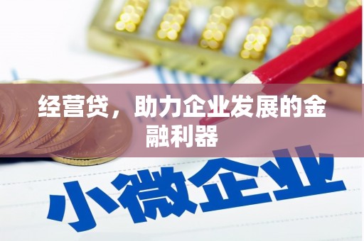 九龙城经营贷，助力企业发展的金融利器