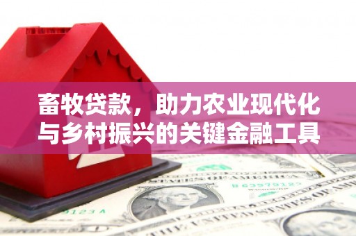 九龙城畜牧贷款，助力农业现代化与乡村振兴的关键金融工具