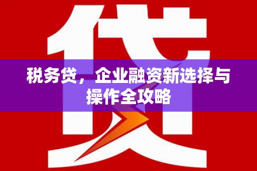 九龙城税务贷，企业融资新选择与操作全攻略