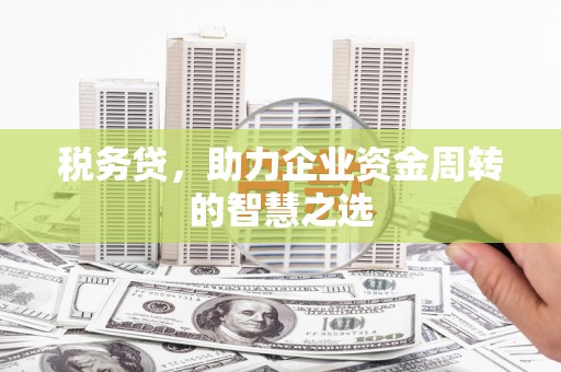 九龙城税务贷，助力企业资金周转的智慧之选