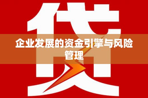 九龙城企业发展的资金引擎与风险管理