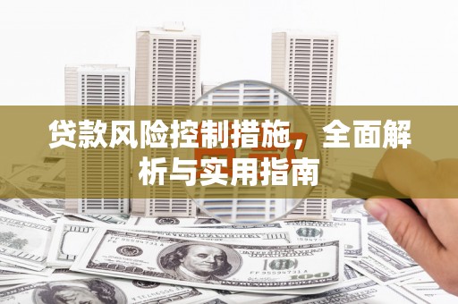 九龙城贷款风险控制措施，全面解析与实用指南