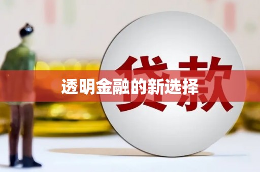 九龙城透明金融的新选择