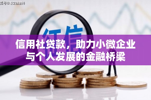 九龙城信用社贷款，助力小微企业与个人发展的金融桥梁