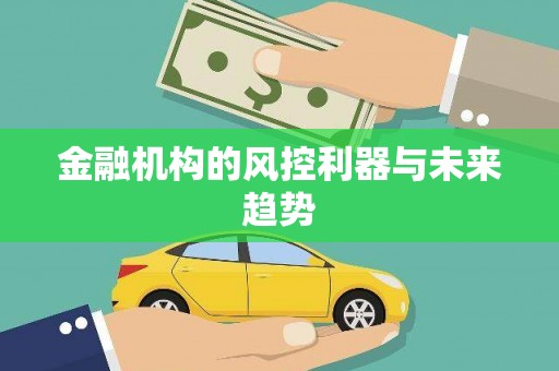 九龙城金融机构的风控利器与未来趋势