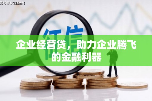 九龙城企业经营贷，助力企业腾飞的金融利器