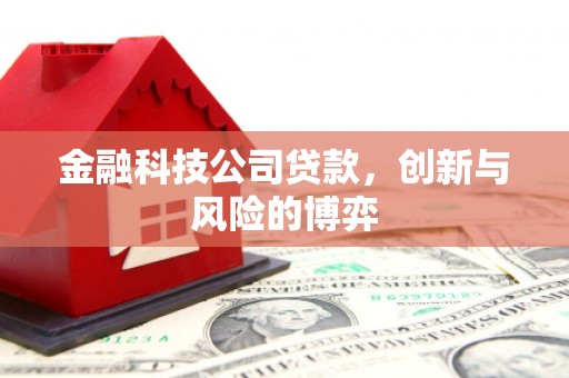 九龙城金融科技公司贷款，创新与风险的博弈