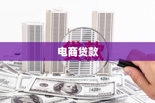 九龙城电商贷款