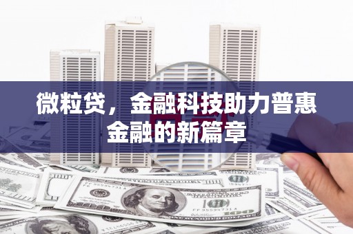 九龙城微粒贷，金融科技助力普惠金融的新篇章