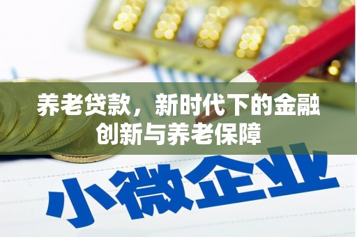 九龙城养老贷款，新时代下的金融创新与养老保障