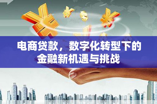 九龙城电商贷款，数字化转型下的金融新机遇与挑战