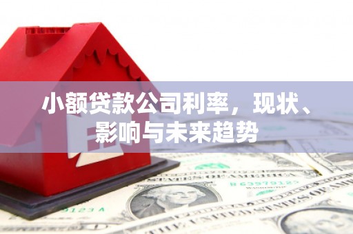 九龙城小额贷款公司利率，现状、影响与未来趋势