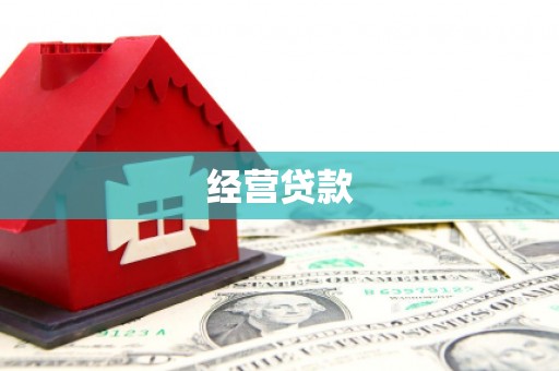 九龙城经营贷款