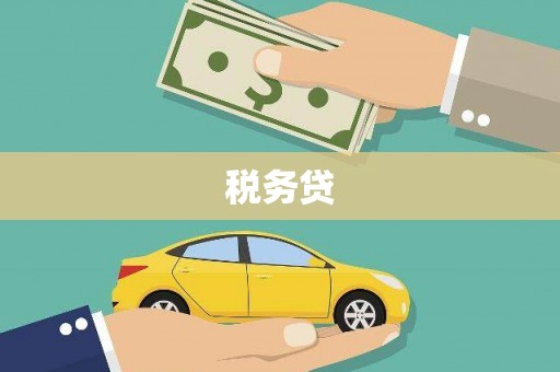 九龙城税务贷