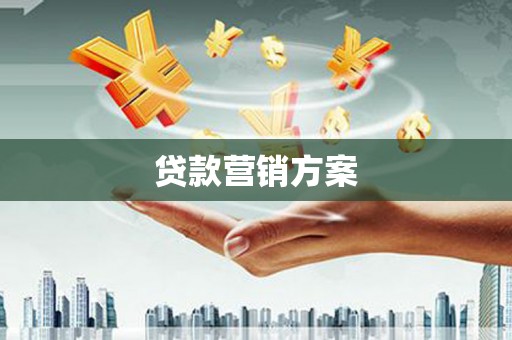 九龙城贷款营销方案