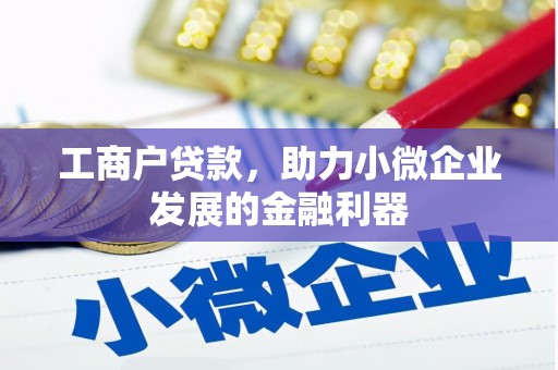 九龙城工商户贷款，助力小微企业发展的金融利器