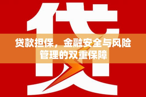 九龙城贷款担保，金融安全与风险管理的双重保障