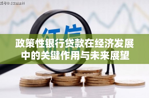 九龙城政策性银行贷款在经济发展中的关键作用与未来展望