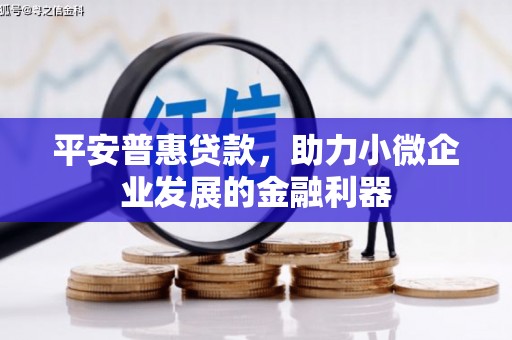 九龙城平安普惠贷款，助力小微企业发展的金融利器