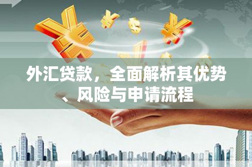 九龙城外汇贷款，全面解析其优势、风险与申请流程