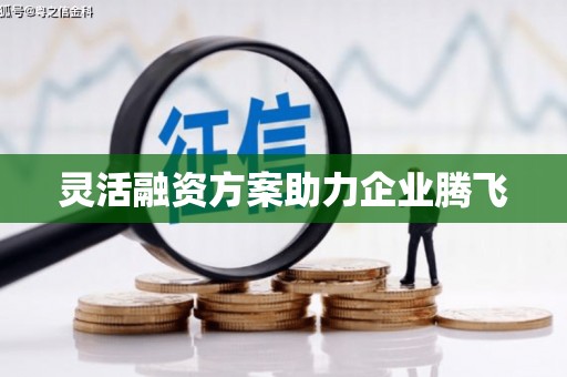 九龙城灵活融资方案助力企业腾飞