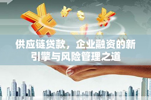 九龙城供应链贷款，企业融资的新引擎与风险管理之道