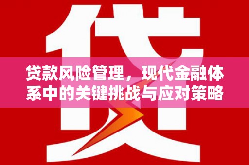 九龙城贷款风险管理，现代金融体系中的关键挑战与应对策略