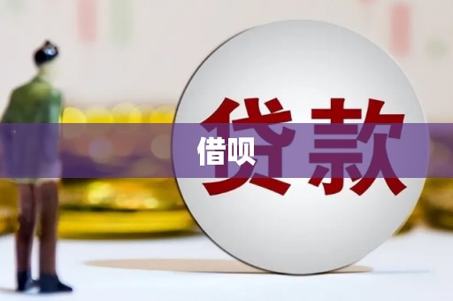 九龙城借呗