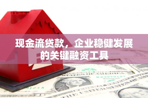 九龙城现金流贷款，企业稳健发展的关键融资工具