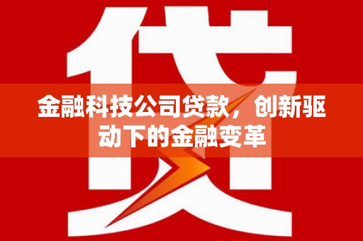 九龙城金融科技公司贷款，创新驱动下的金融变革