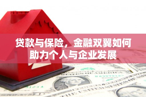 九龙城贷款与保险，金融双翼如何助力个人与企业发展
