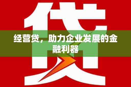 九龙城经营贷，助力企业发展的金融利器