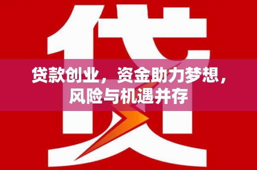 九龙城贷款创业，资金助力梦想，风险与机遇并存