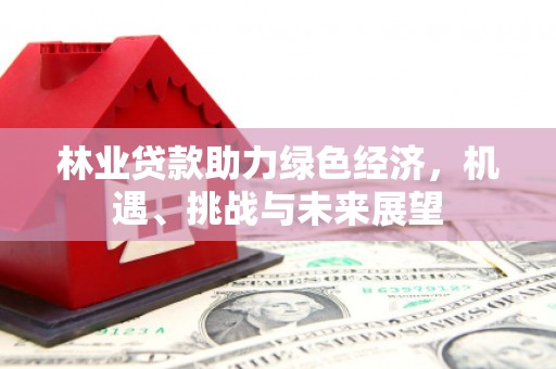 九龙城林业贷款助力绿色经济，机遇、挑战与未来展望
