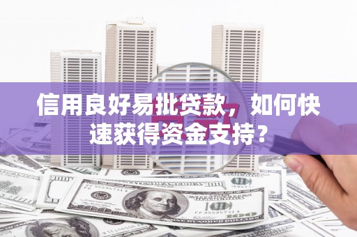 九龙城信用良好易批贷款，如何快速获得资金支持？