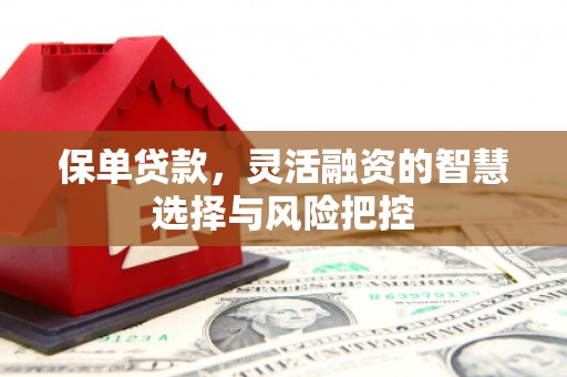 九龙城保单贷款，灵活融资的智慧选择与风险把控