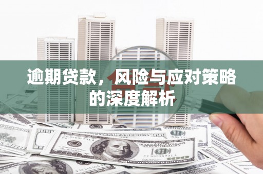 九龙城逾期贷款，风险与应对策略的深度解析