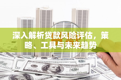 九龙城深入解析贷款风险评估，策略、工具与未来趋势