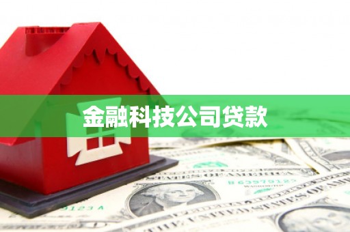 九龙城金融科技公司贷款