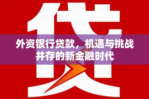 九龙城外资银行贷款，机遇与挑战并存的新金融时代
