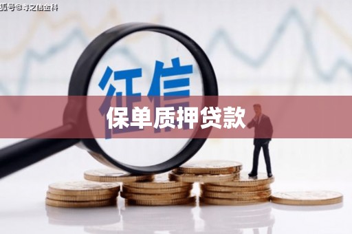 九龙城保单质押贷款