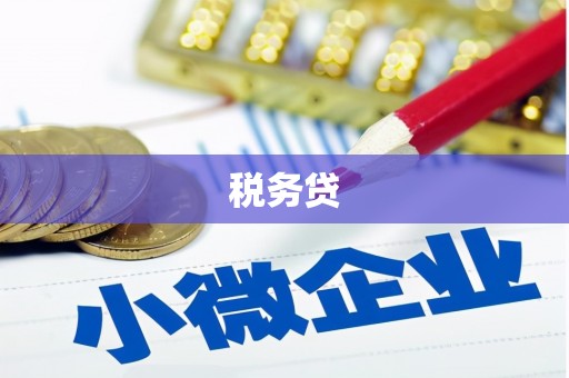 九龙城税务贷